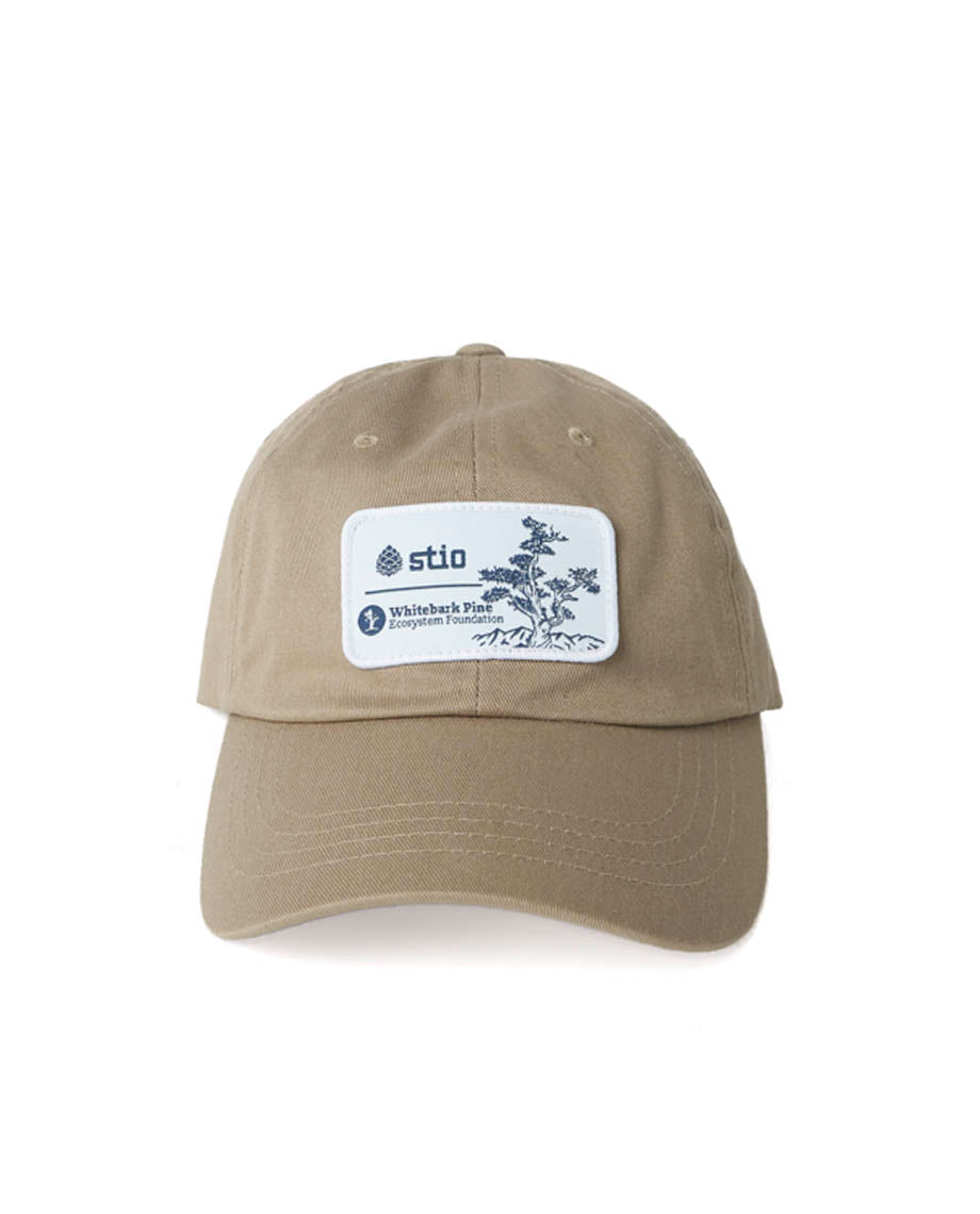 Casquette Pine Patch