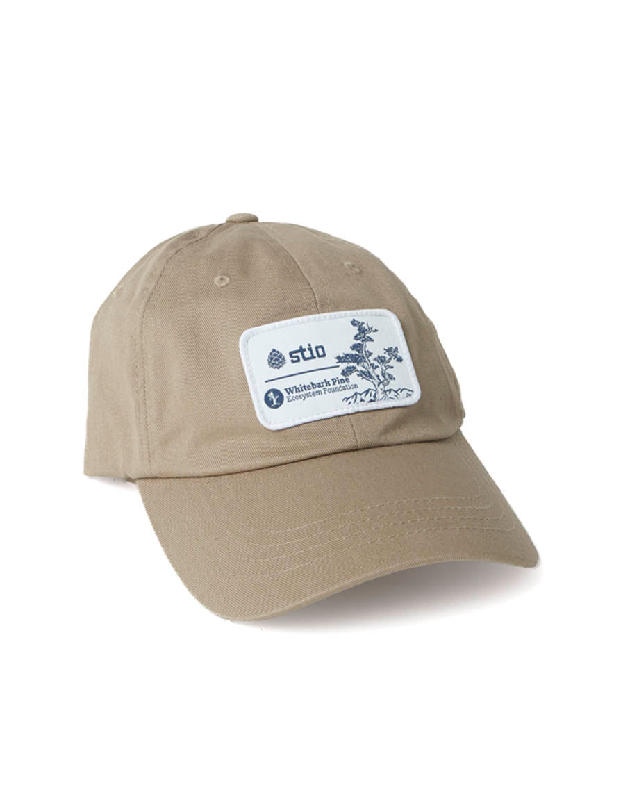 Casquette Pine Patch